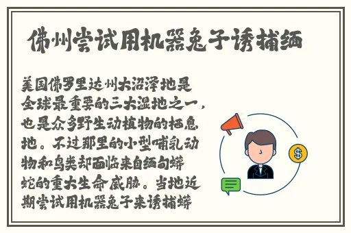 打开腿吃你的扇贝